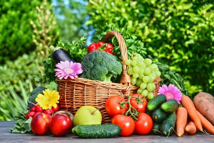 Fruits & Vegetables